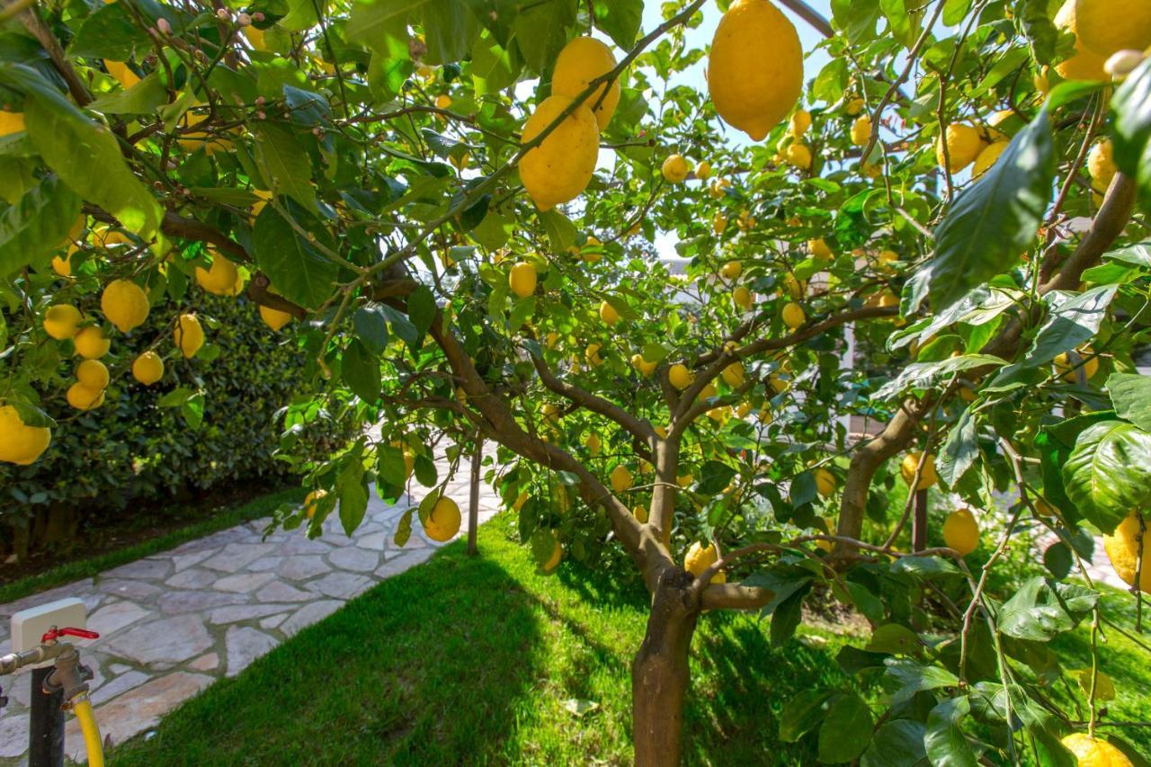 Resort Ravenna Massa Lubrense Dış mekan fotoğraf